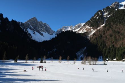 Initiation - improvement nordic skiing and skating