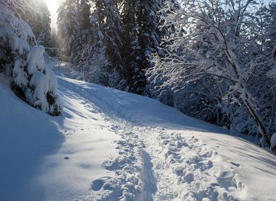Snowshoeing : walk through the snowy mountain pastures