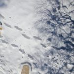 Snowshoeing : Bécret trail