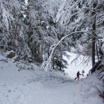 Snowshoe hike: Envers circuit