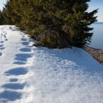 Snowshoeing on the Mémises ridge
