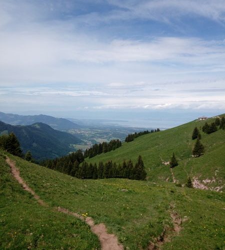 Hike : from chalets to alpine pastures