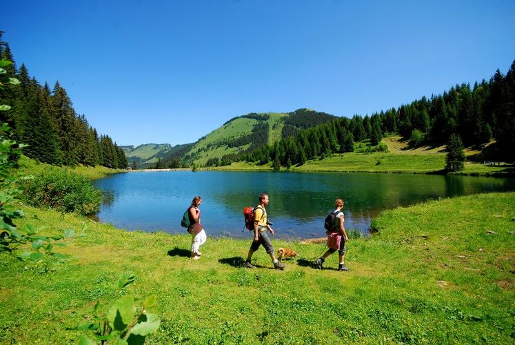 Walk "Super Châtel and the 3 lakes"