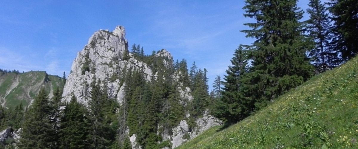 Le Col de Savalène (d'Arvouin) pass