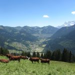 Hiking: Around the Mont Chauffé
